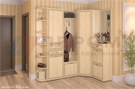 Прихожая Карина Вар5 15074