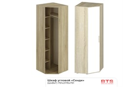 Шкаф угловой Сенди ШК-01 15786