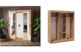 Шкаф - купе Твист 15819