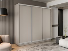 Шкаф -купе Экспресс-2 трехдверный Н-2.2 15828